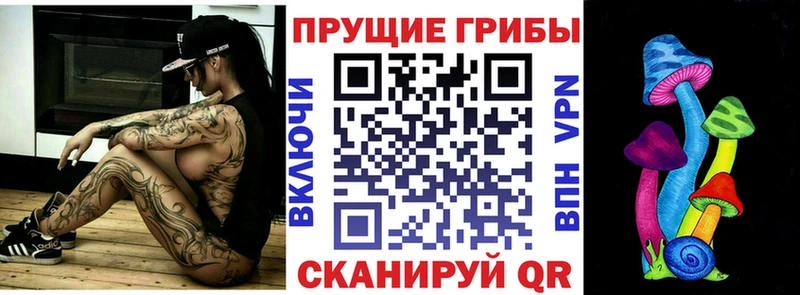 Купить где  Чебаркуль  Псилоцибиновые грибы мицелий 